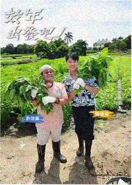 资讯配图，淡紫色综艺现场灯光与银色轨道